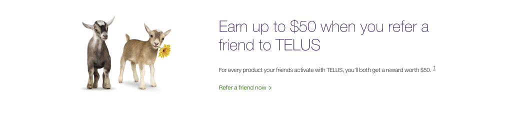 Telus programa member get member
